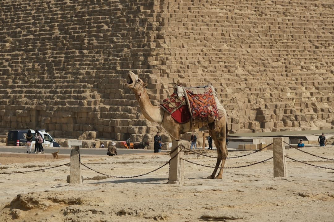 Égypte